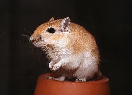 2206