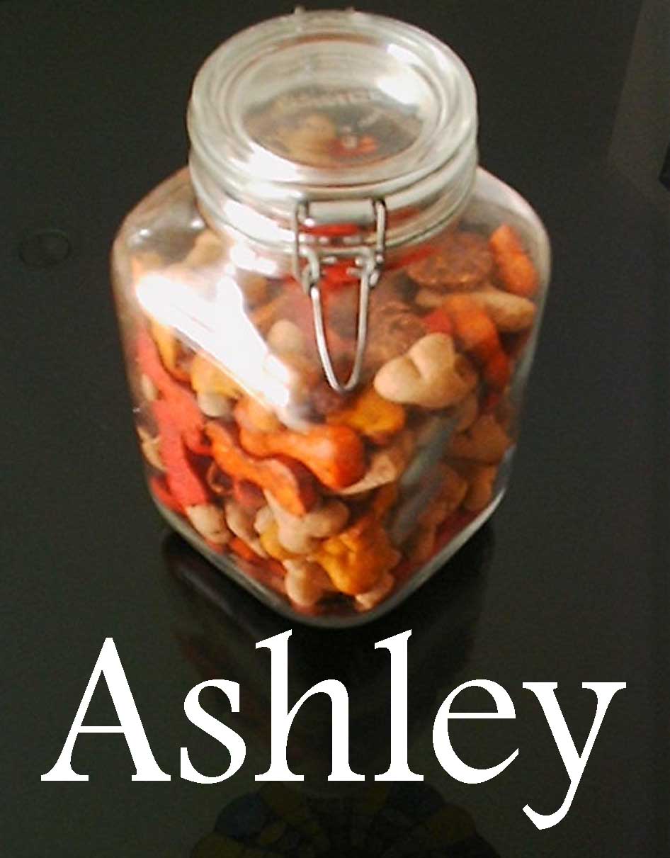 Welcome to Ashley's page!