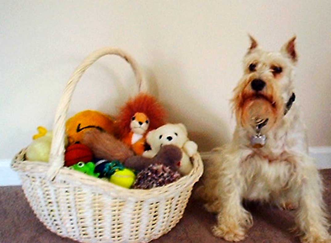 Ashley's Basket o' Toys