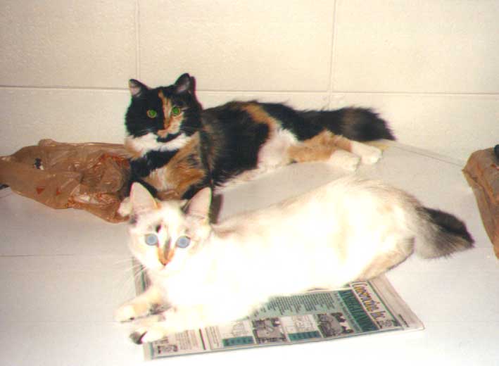 catarina & chubba