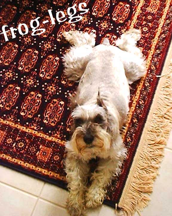Frog-legs