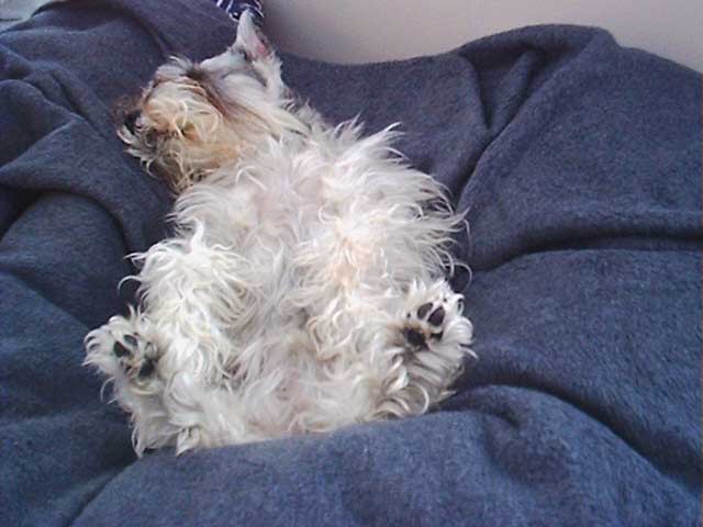 "Foot-Monster" in a dead sleep