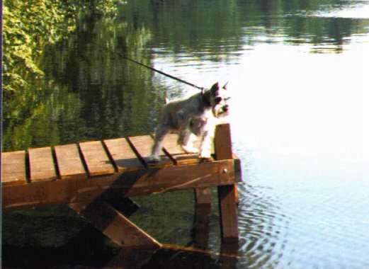 Fishing 