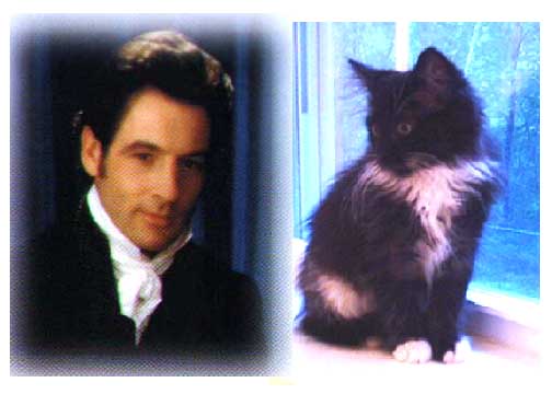 Mr. Knightley