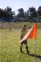 No 4 - Yellow Card Special