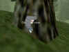 ciladan_corpse.jpg (32129 bytes)