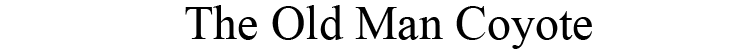 Page Banner