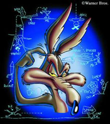 Wile Coyoyte Image