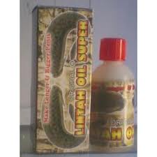 Membesarkan Penis Kelamin Alat Vital Kemaluan Pria Lintah