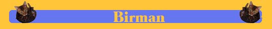 Birman