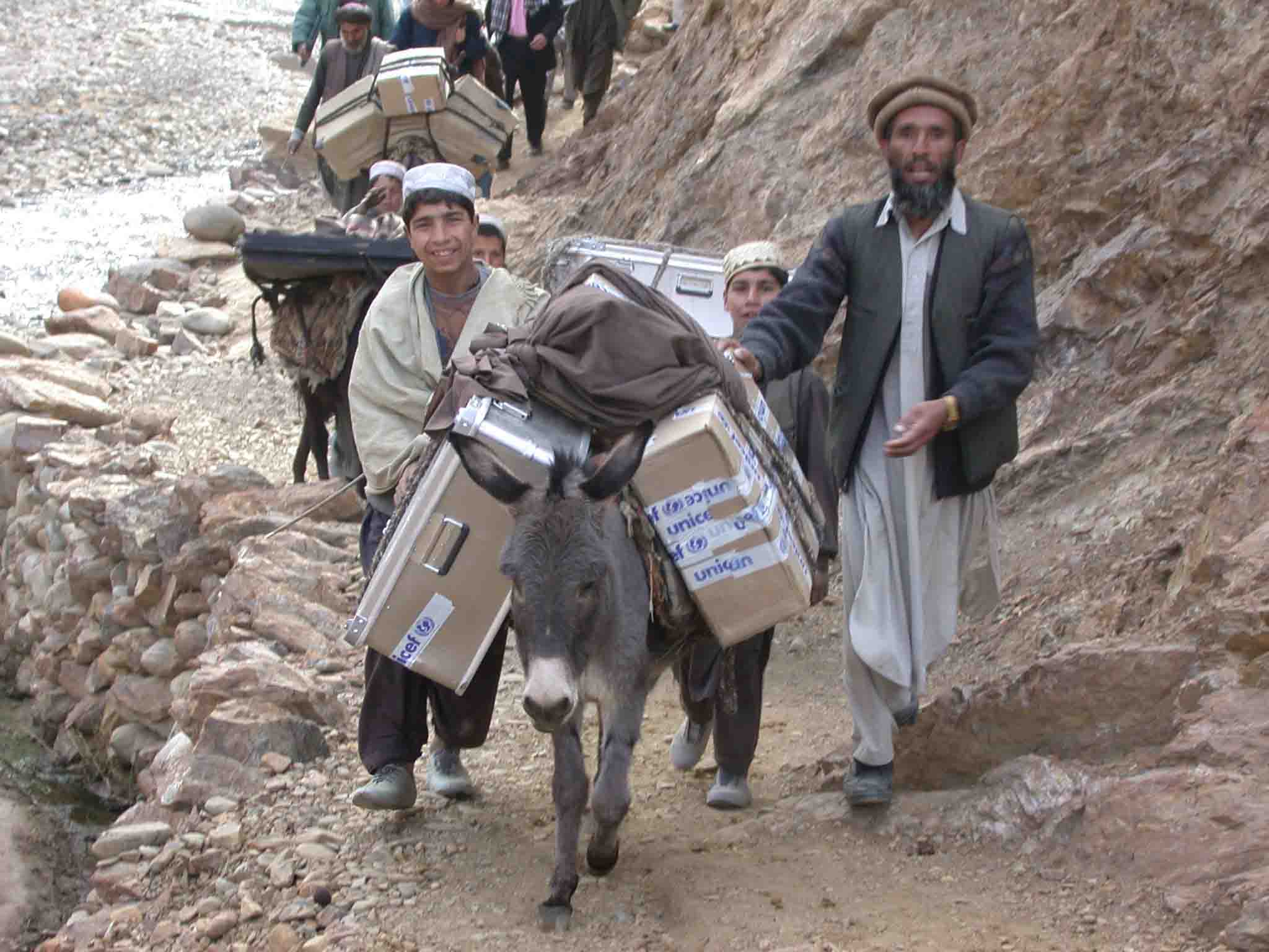 Donkey convoy in Parwan province