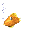 Aquatic Animations