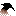 Lazarus Taxon