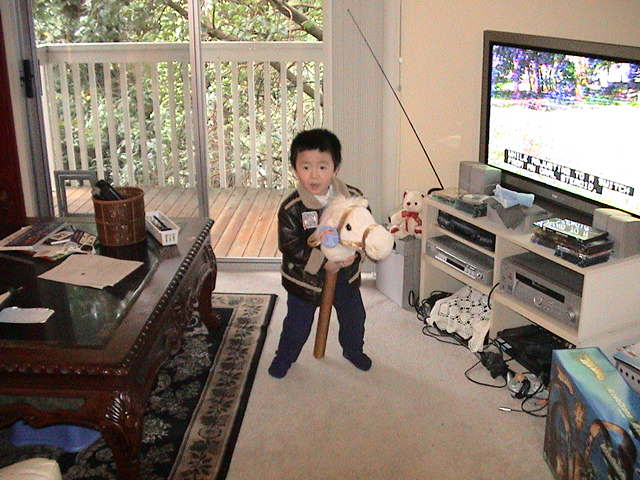 Nathan playing with horse