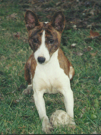 What a pretty face!&nbsp; December 2001