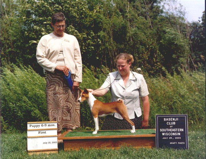 Mise winning the 6-9 month puppy bitch class at the BCOSW Specialty