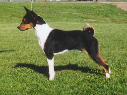 Bantu - 2 1/2 years old in May 2002