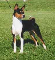 Bantu at 2 1/2 years old.
