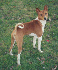 Kodi - December 2001; 2 years old
