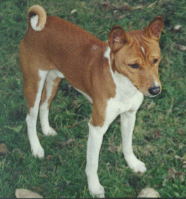 Kodi - December 2001; 2 years old