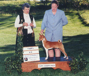 Echelon Dancing With Danger - 4th 6 to 9 month sweeps at 2001 BCOA National