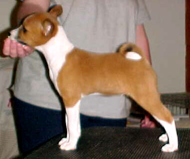 Tia at 8.5 weeks old