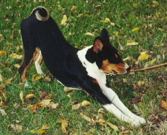 Just stretching after a long photo session.