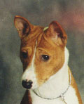 One of my favorite Carlie head shots