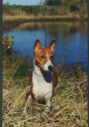 Carlie at the pond -- Photo copyright Heather Ervin