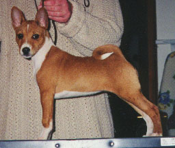 Kinsey at 12 weeks.&nbsp; "Okay this table thing's not so bad after all."