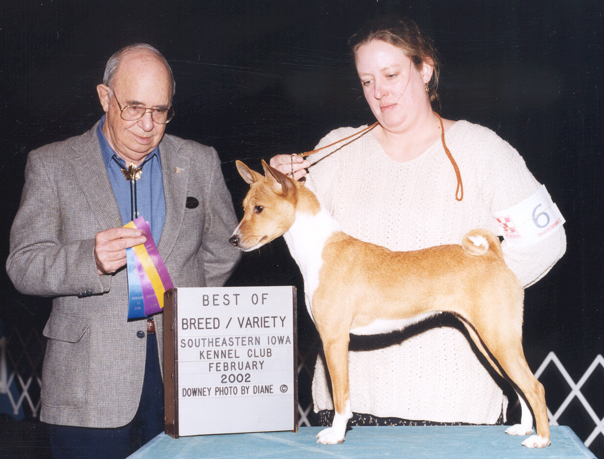 Kinsey - Best of Breed; February 2002 .&nbsp; Judge: Mr. C. P. Herendeen