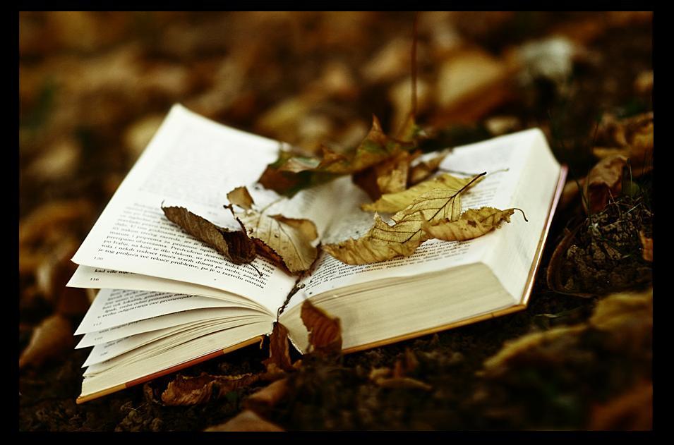 "The Story of the Fall" (c) AstralWind