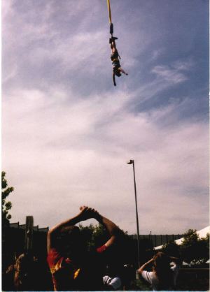 bungee