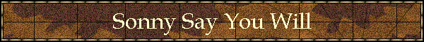 Sonny Say You Will