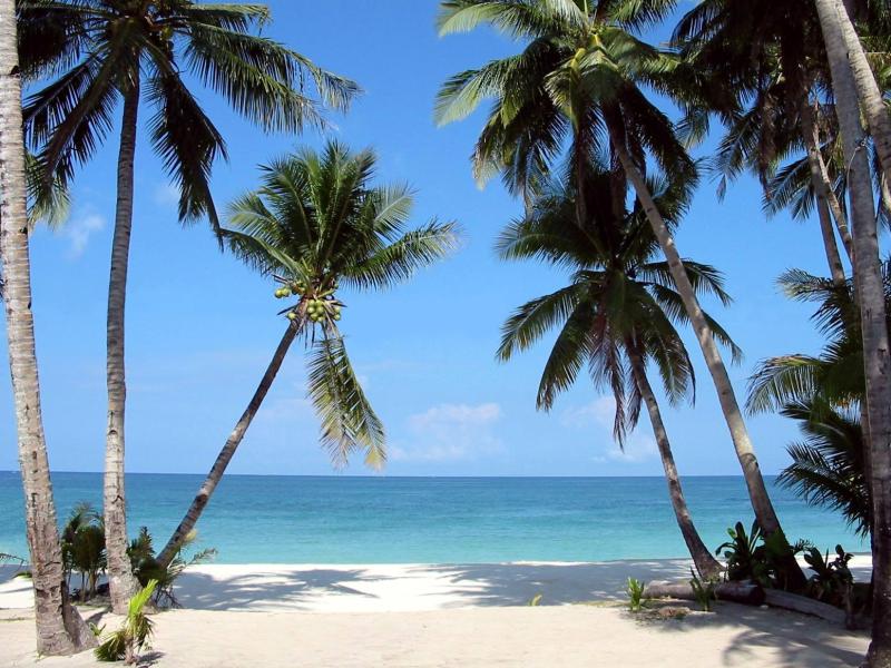 best tropical beach resort in the world