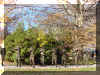 2.jpg (39713 bytes)