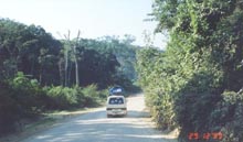 Camino a la Selva