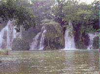 Cascadas Tamasopo