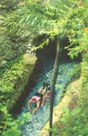 R�o Subterraneo, Xcaret