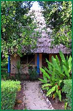 Garden View Thatched Cabanas