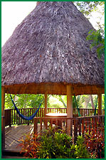 Palapa
