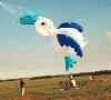 [Duck windsock]