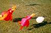 [Family of windsock ducks]