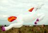 [Horse windsock]