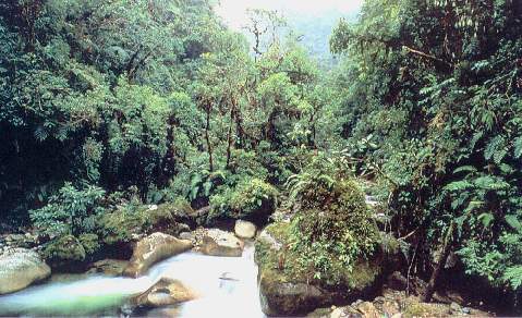 Abruptas pendientes.jpg (40897 bytes)