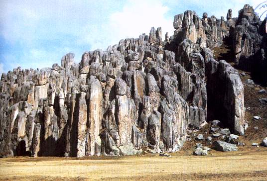 Coro_de_Monjas.jpg (44476 bytes)