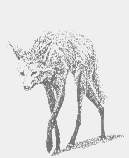 El lobo de crin.jpg (3287 bytes)