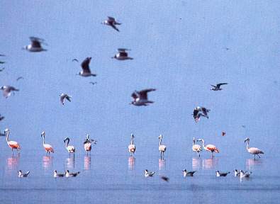 Estaci�n de descanso.jpg (11972 bytes)