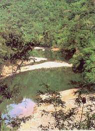 Paisaje Candamo.jpg (13887 bytes)