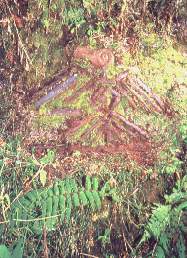 Pajat�n2.jpg (16450 bytes)